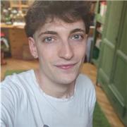 Insegnate di Italiano (laureando in lingue)